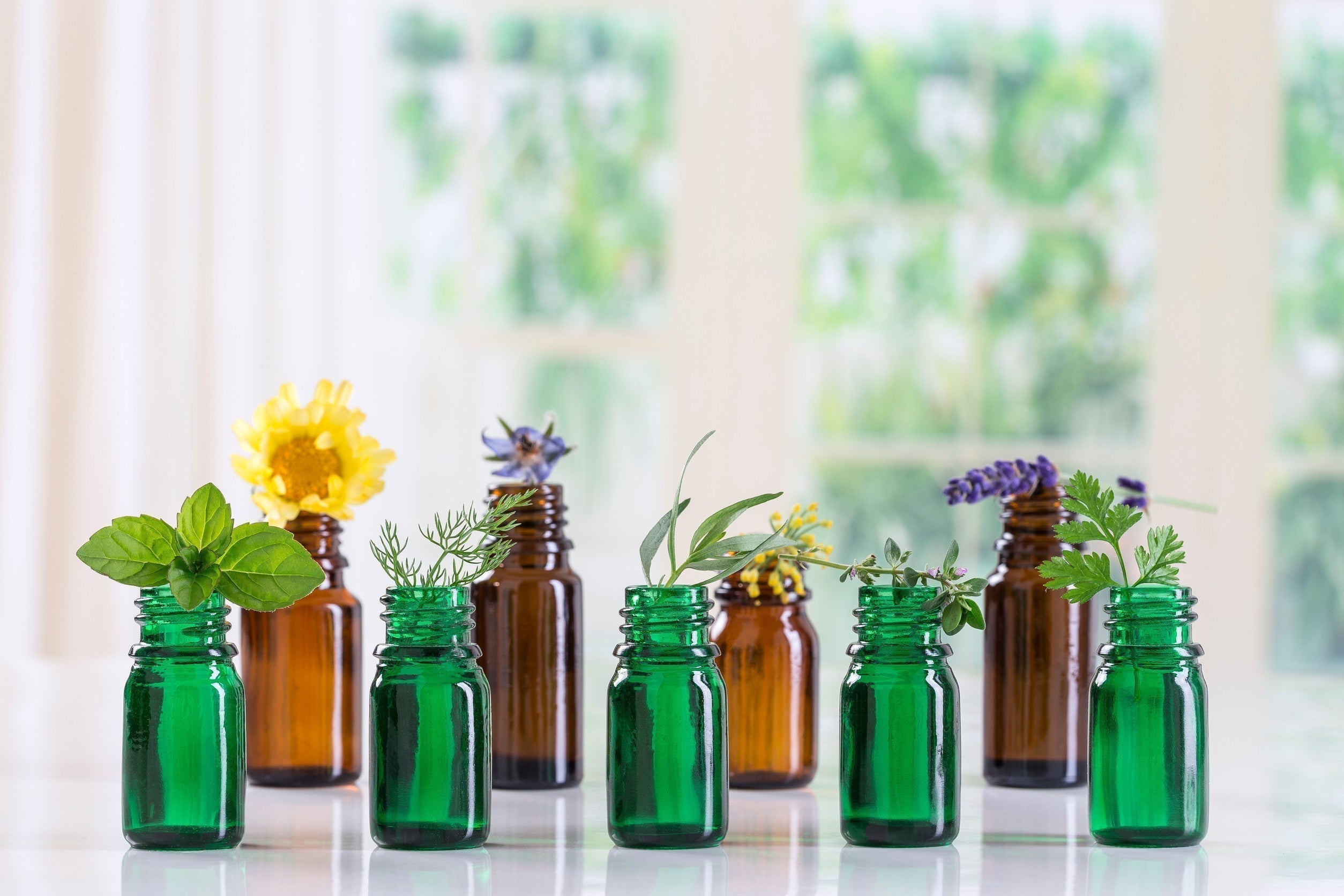 Essential oil bottles with herbs and dried flowers