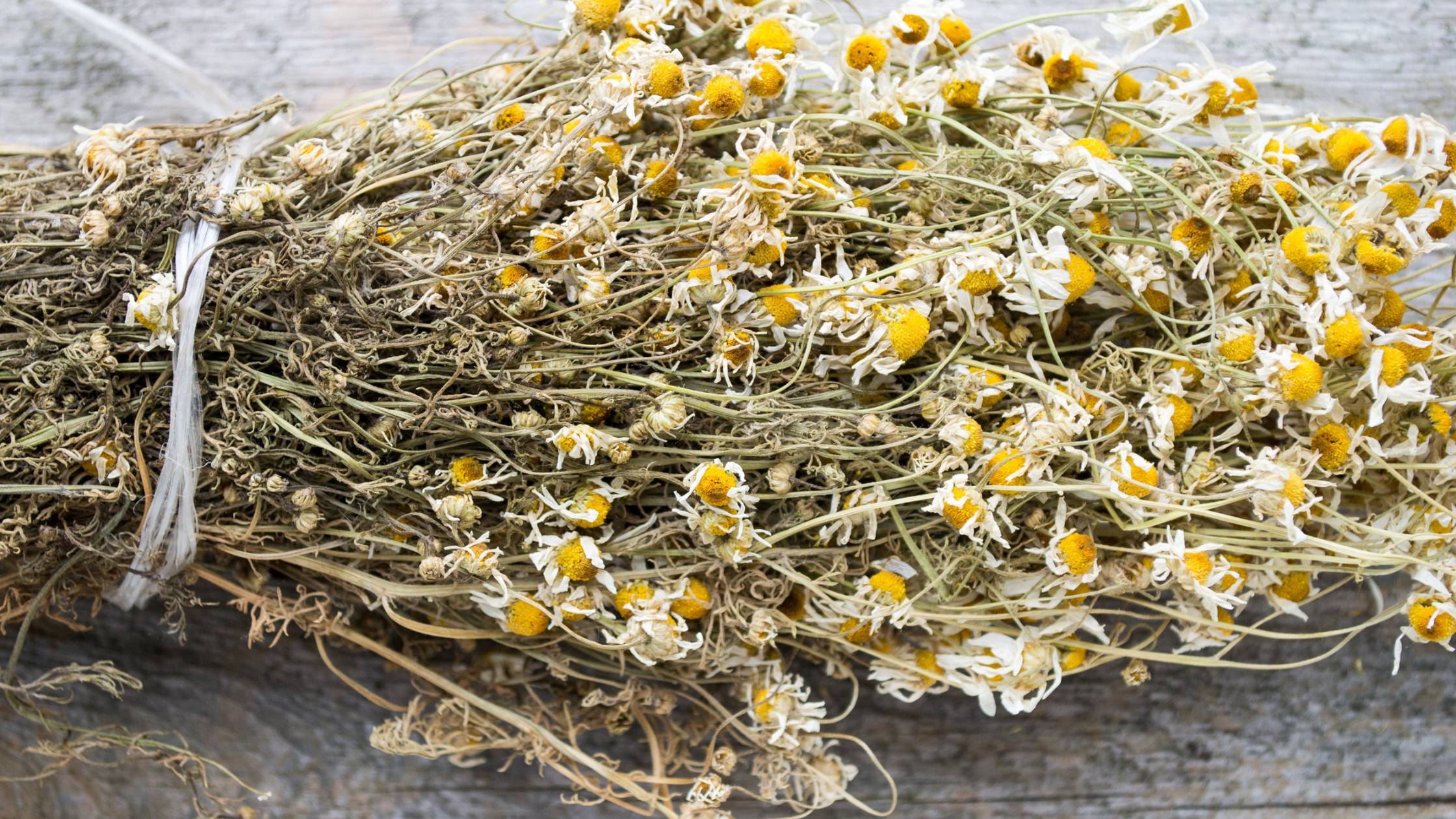 Dried chamomile or Matricaria chamomilla on wood