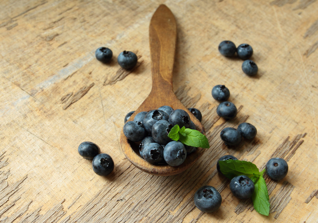 Bilberry Seed Oil - Virgin (Supercritical Co2 Extracted)