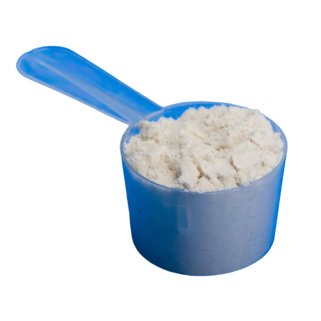 Creatine monohydrate in scoop