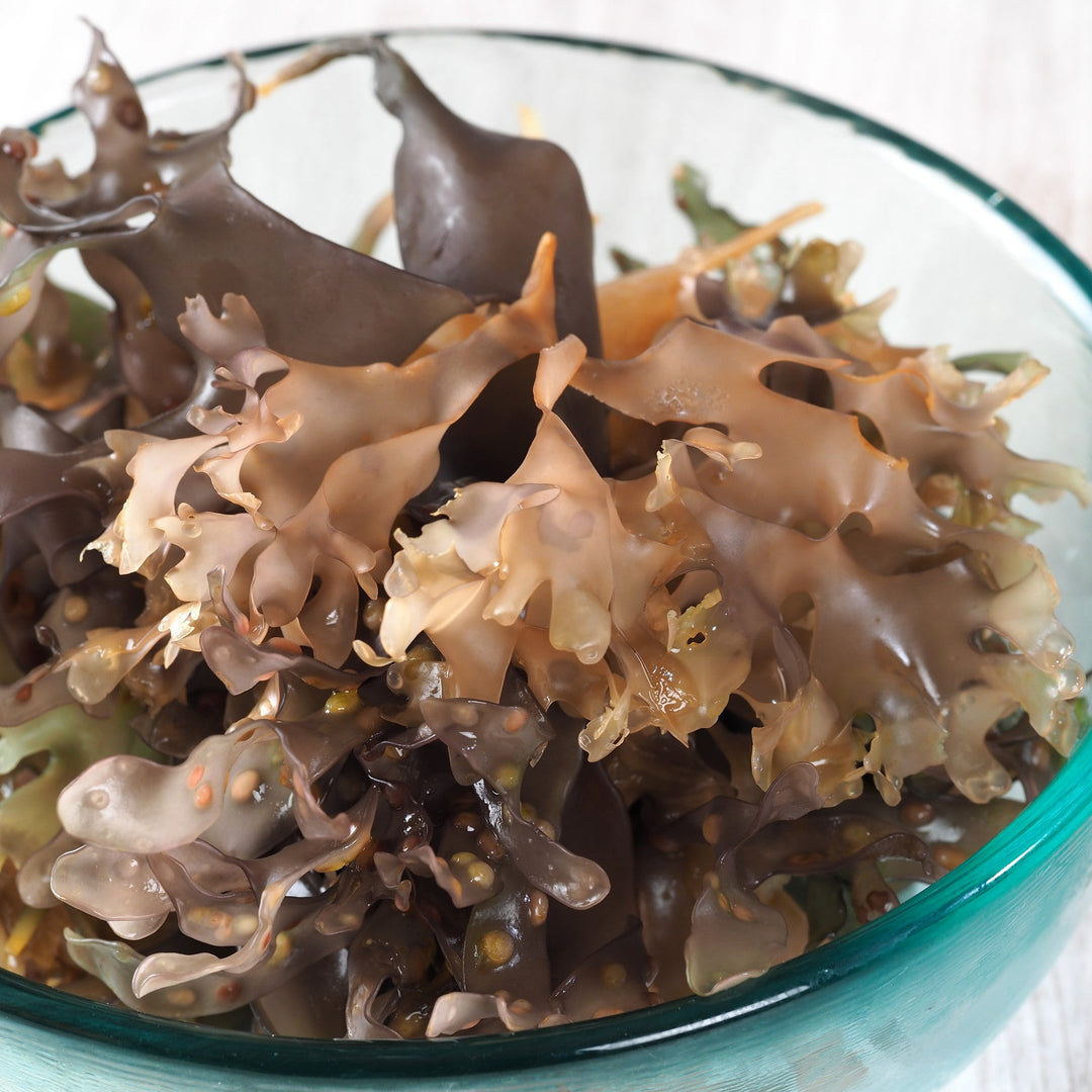 Irish Moss in glass bowl