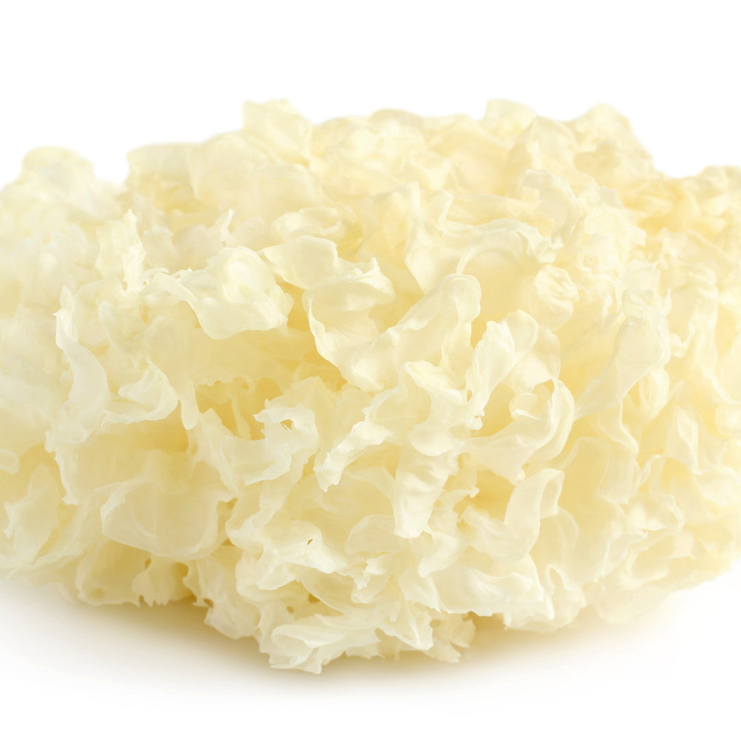 Tremella extract powder, ideal for hydrating, plumping, and rejuvenating skincare formulations.