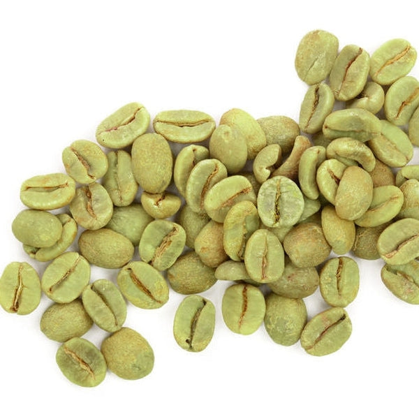 Green Coffee Bean Botanical Extract Powder