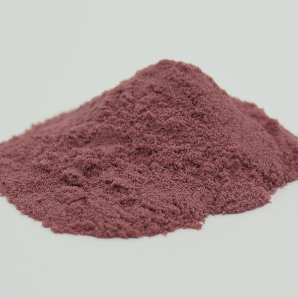 Elderberry Botanical Extract Powder