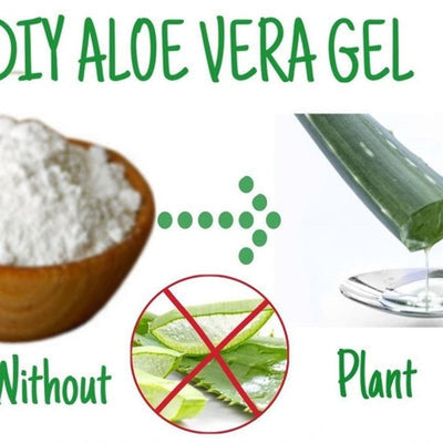 Aloe Vera Extract Powder 100X - Organic