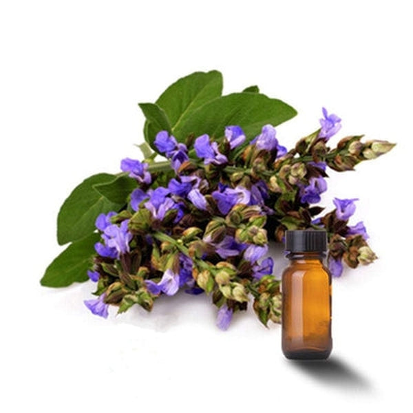 Clary Sage Essential Oil (Melaleuca Alternifolia)