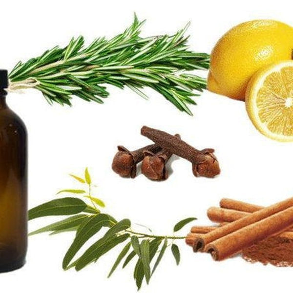 Four Thieves Essential Oil Blend