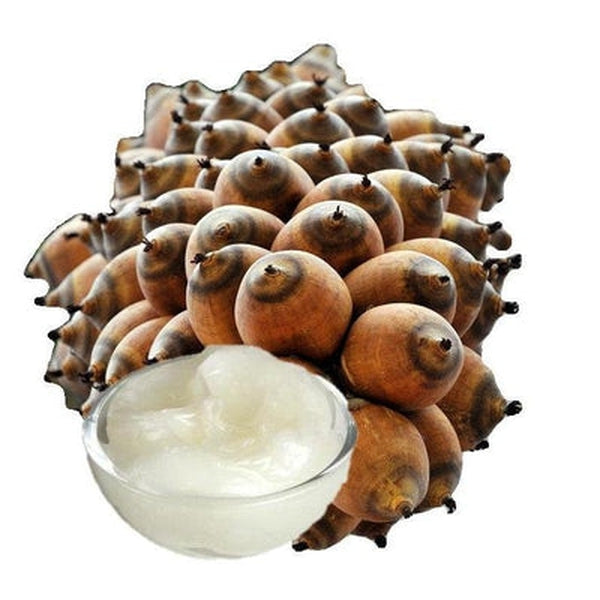 Olio Di Babassu Biologico Rafinato – 500g, Vettore 100% Puro, Per Pelle E Capelli, Idratante, Vitamina E