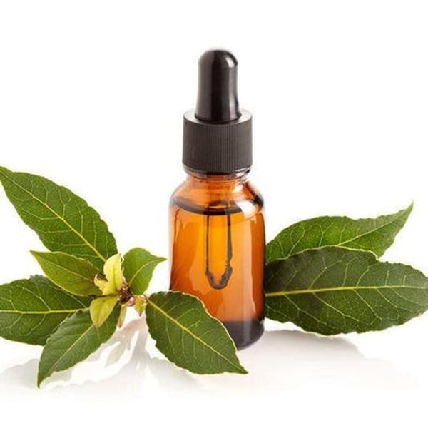 Bay Leaf Essential Oil (Laurel Leaf) *Clearance*