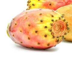 Prickly Pear Extract (Oil Soluble) Regenerative/ Anti-aging/ Damaged Skin