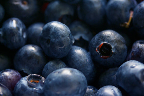 close up of blueberries