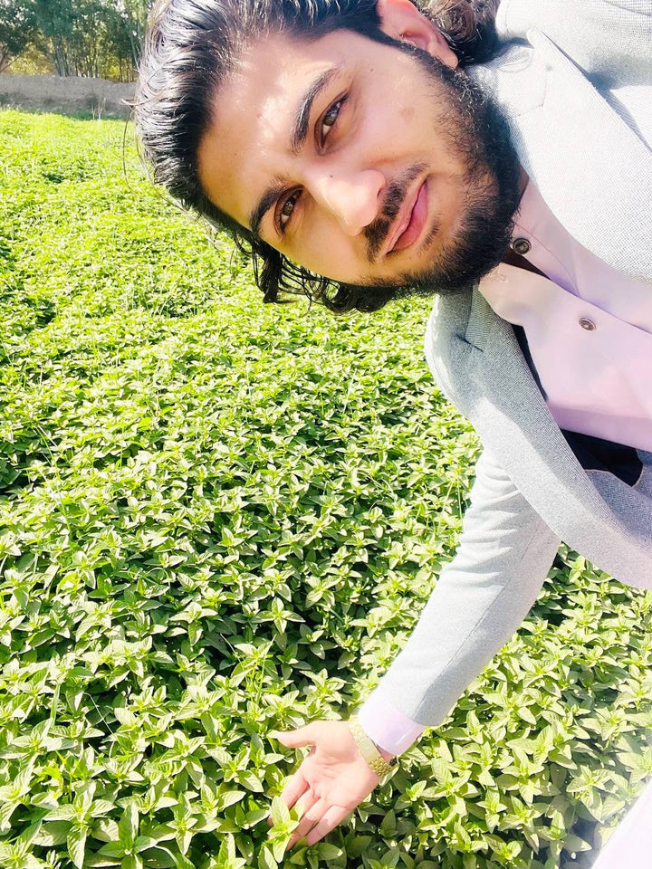 Heray Spice - Herati Mint Leaves (peppermint) 1 Oz