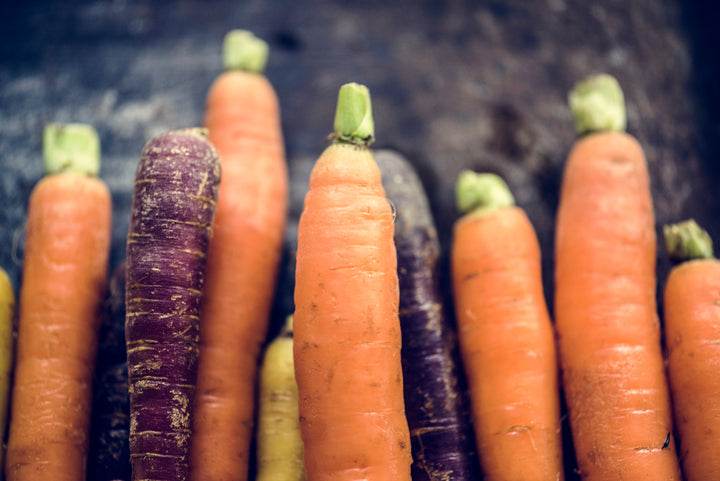 Carrot Seed Essential Oil
