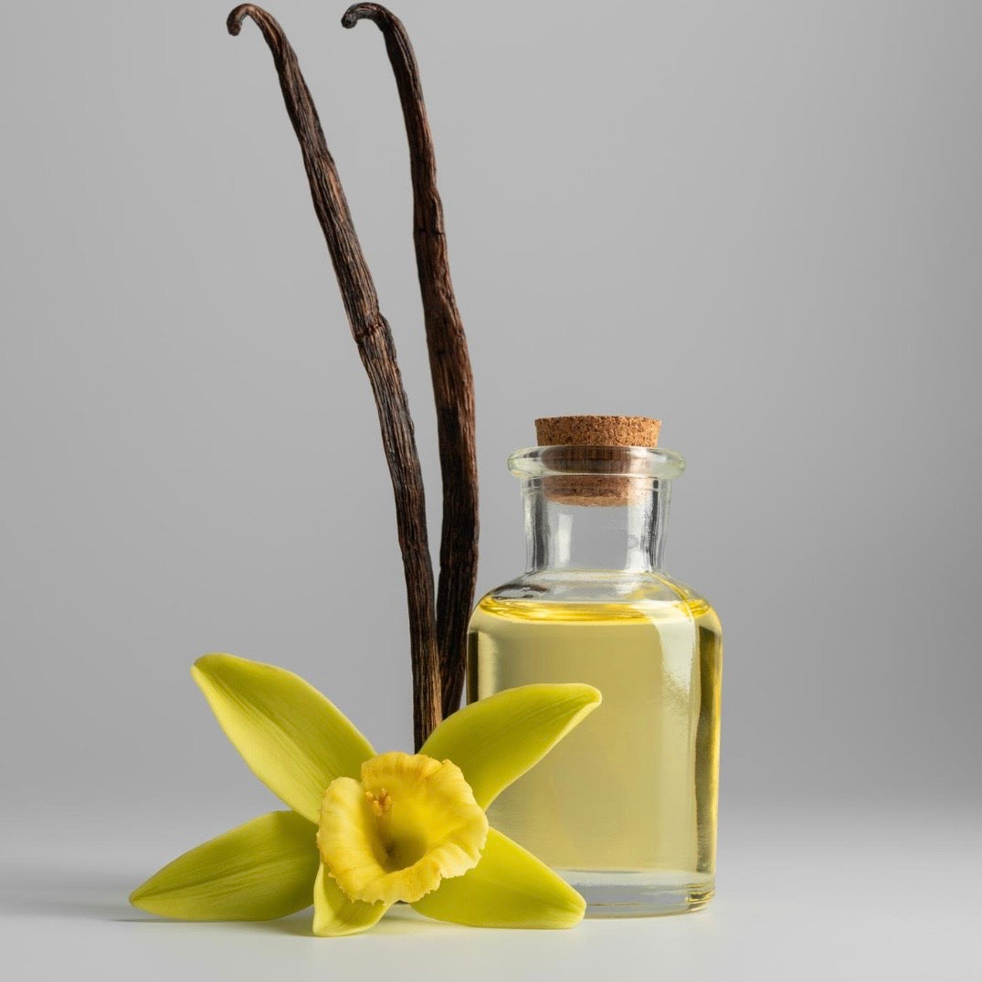 Vanilla extract bottle with vanilla beans and flower on a gray background