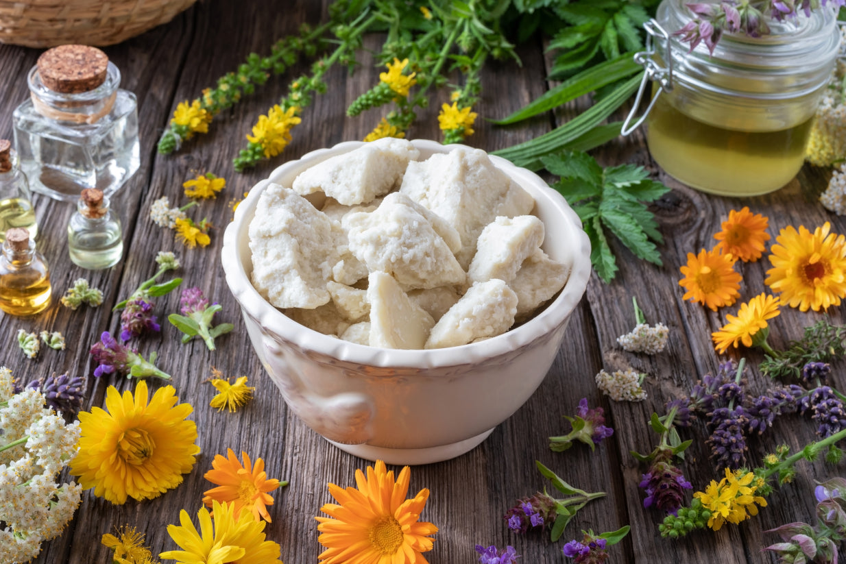 Shea Butter - Refined - Blossom Bulk