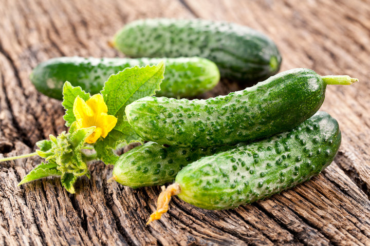 Cucumber Peel (10:1) Botanical Extract Powder