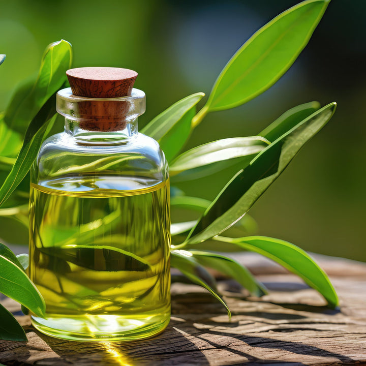 Tea Tree Essential Oil - Organic
