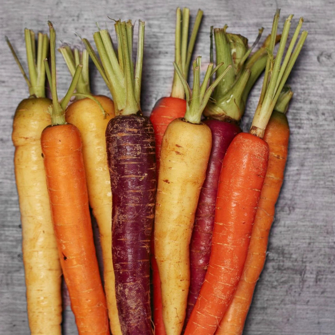Assorted colorful carrots on a wooden surface