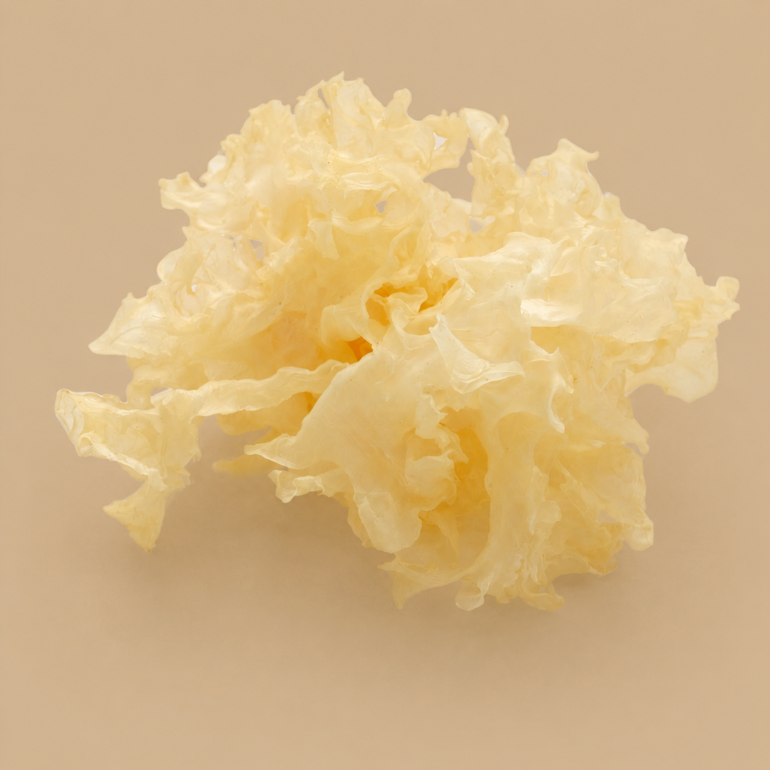 Close-up of a piece of white木耳 (wood ear mushroom) on a beige background