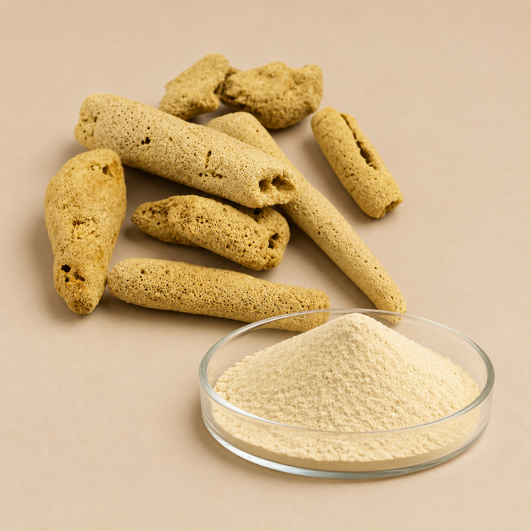 Sponge Microneedles Hydrolyzed Sponge Spicule Powder 99%