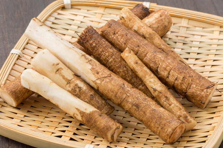 Burdock Root (4:1) Botanical Extract