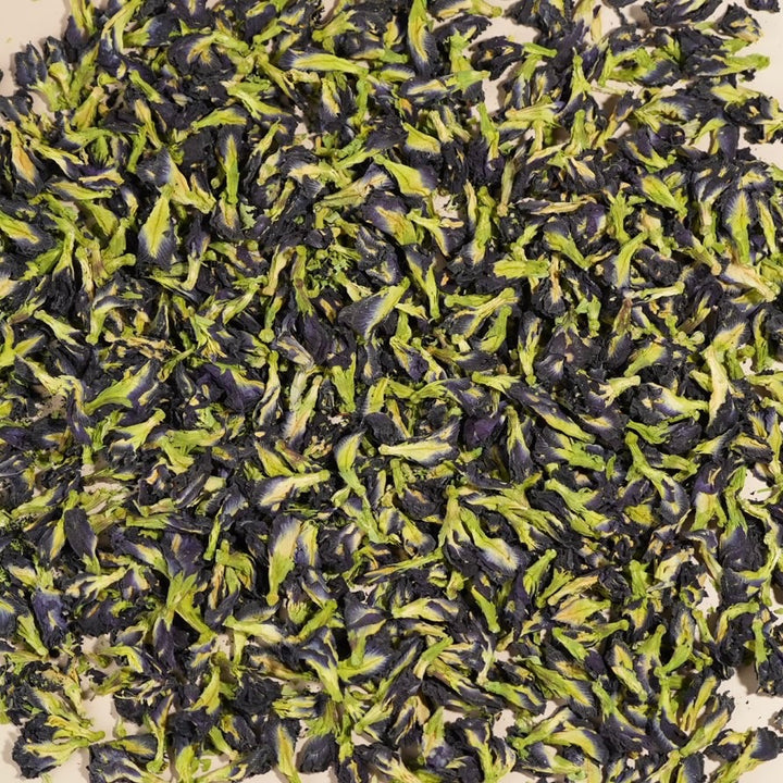 Blue Butterfly Pea Flowers