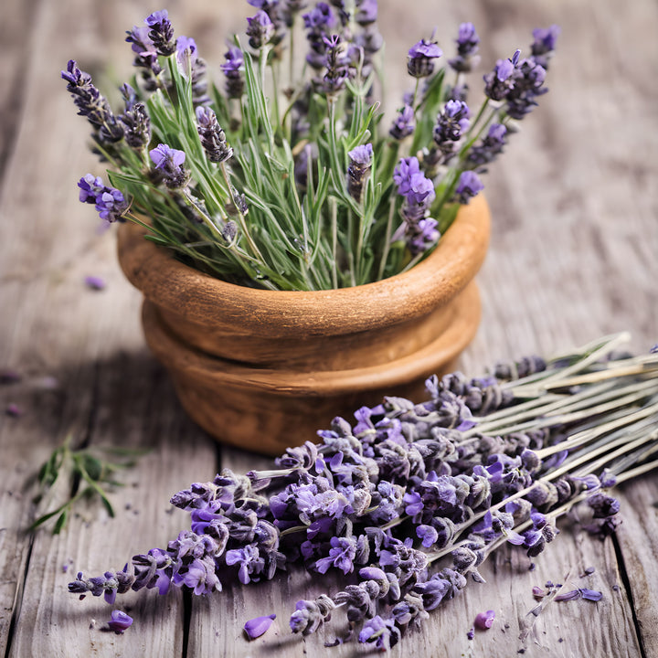 Lavender Floral Water Hydrosol
