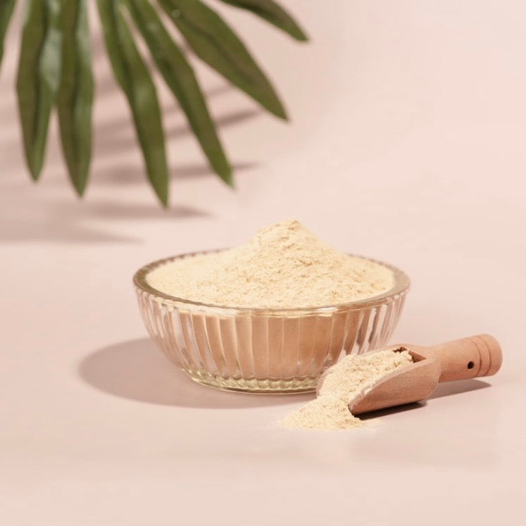 Fermented Rice Powder