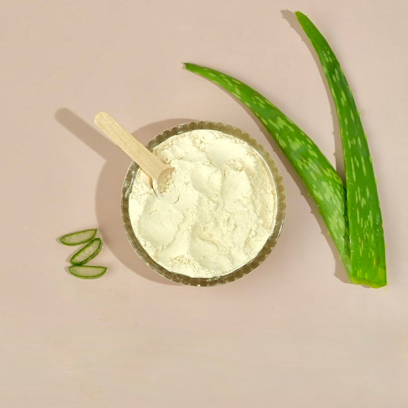 Aloe Vera Extract Powder 100X - Organic
