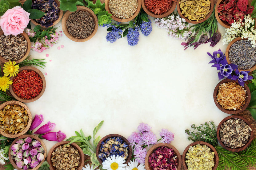 Peptides 101: Small Molecules, Big Results – Bulk Naturals