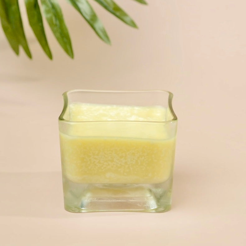 Pracaxi Seed Oil - Virgin