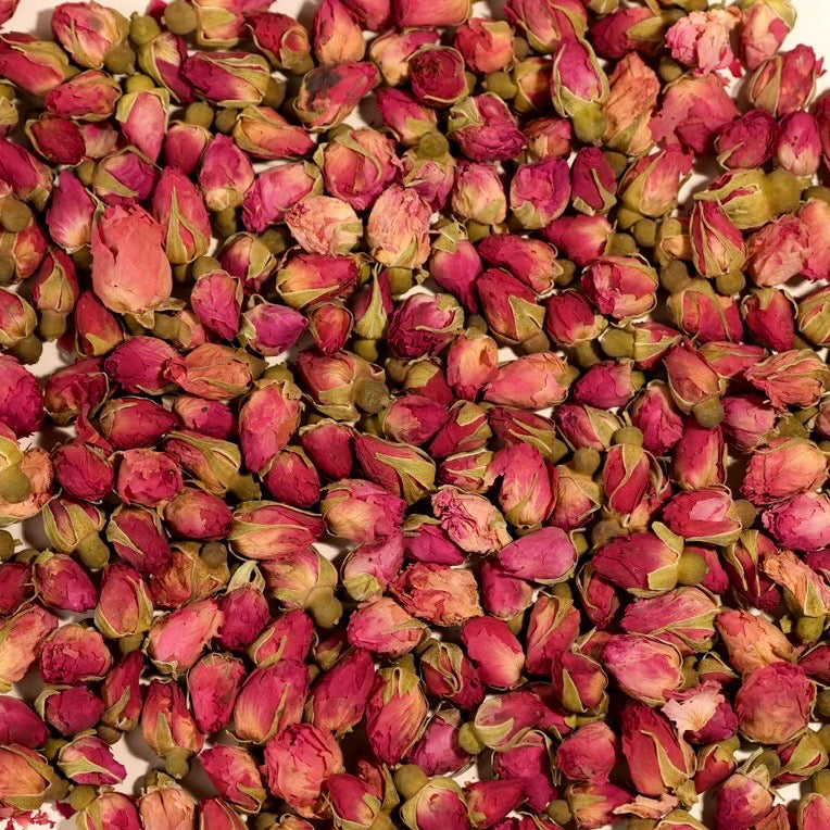 Rose Bud Flowers