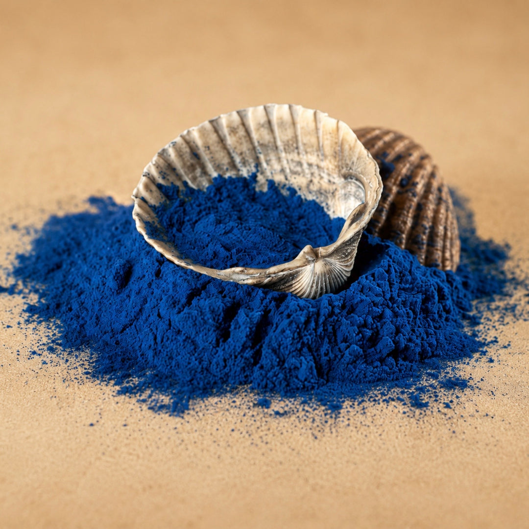 Blue powder in a shell on a beige background