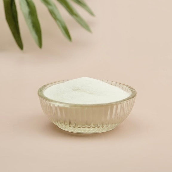 Snail Mucin Powder (Freeze Dried)