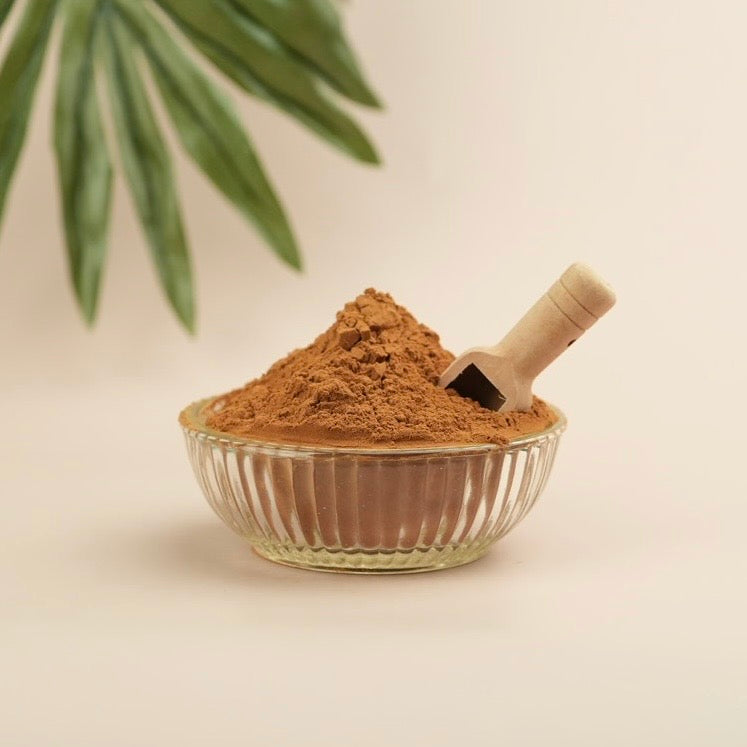 Glass bowl with brown powder and a small scoop on a beige background