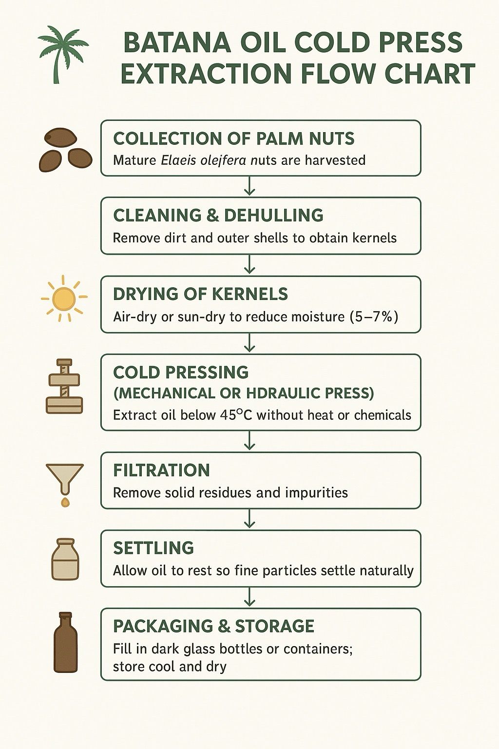 Batana Oil- Cold Pressed