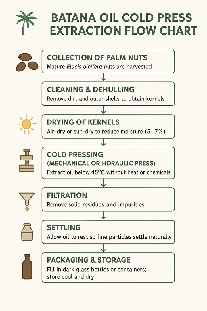 Batana Oil- Cold Pressed