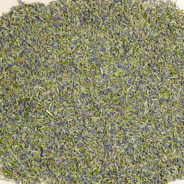 Lavender Flowers