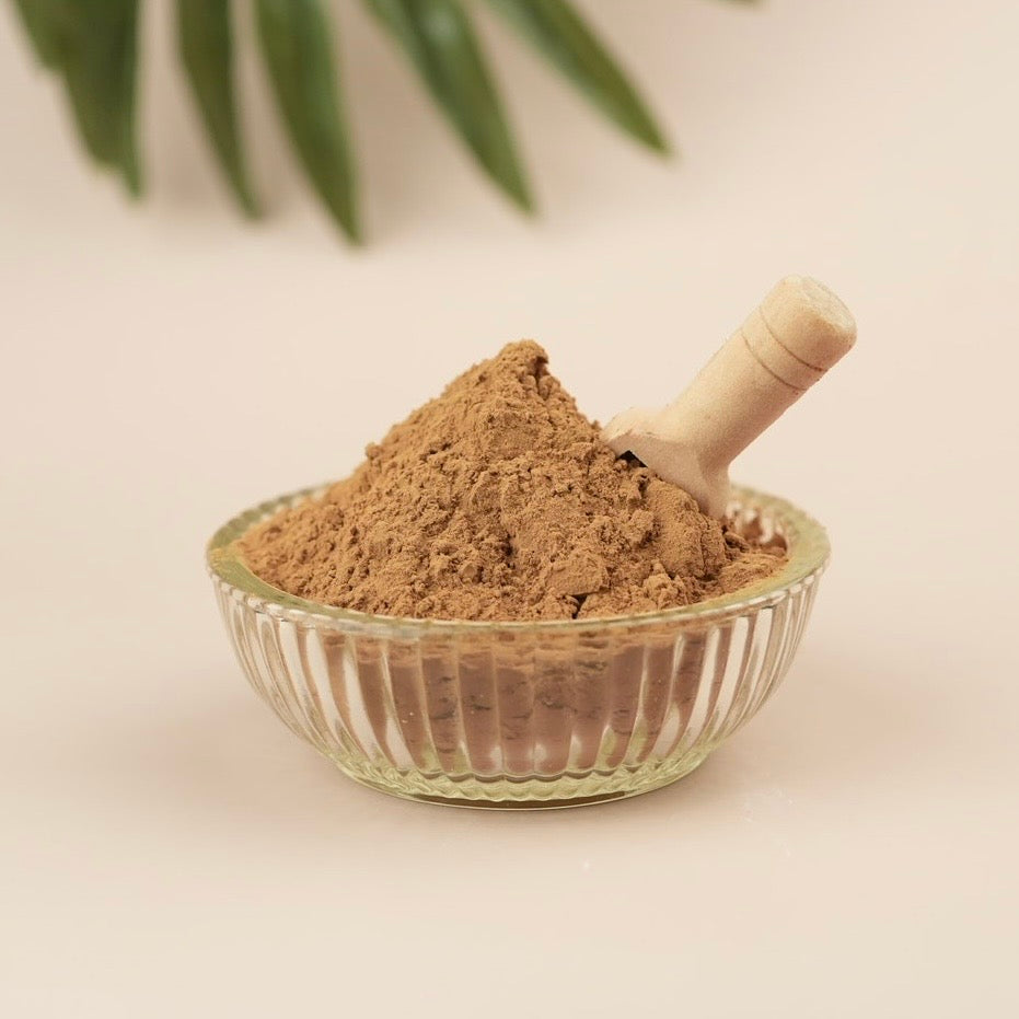 Glass bowl filled with brown powder and a wooden spoon on a light background
