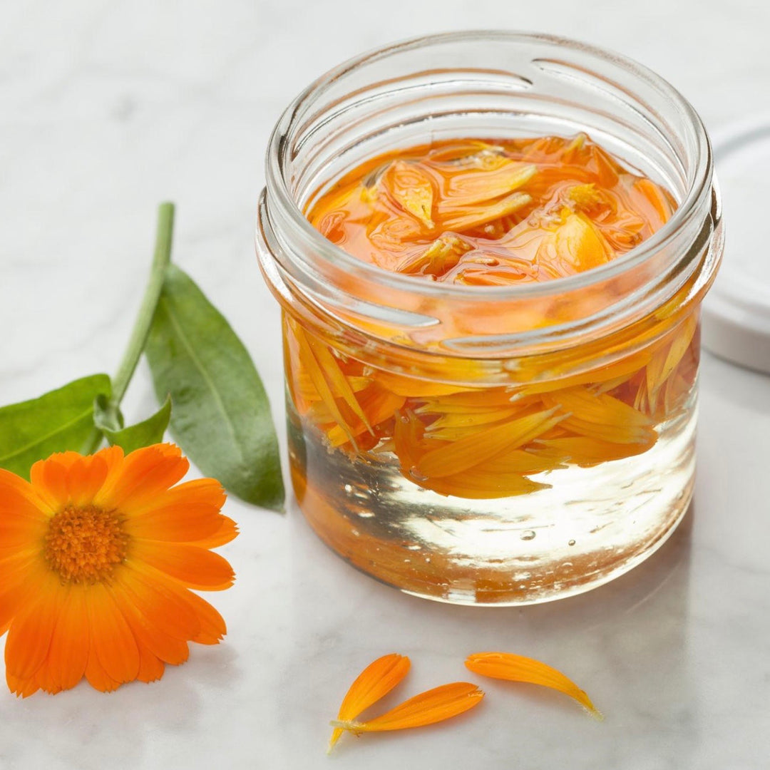 Calendula Flower Infused Oil
