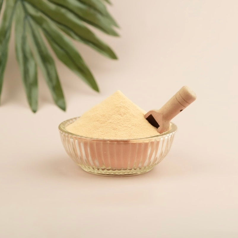 Papaya Fruit Extract Powder