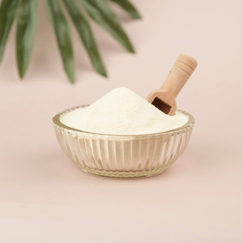 Guava Fruit Extract Powder