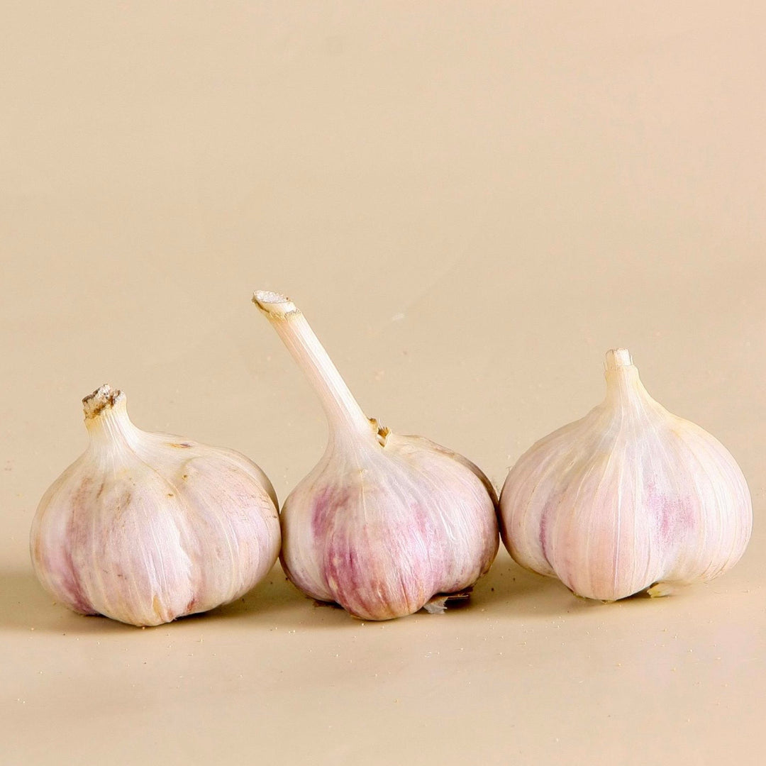 Three garlic bulbs on a beige background