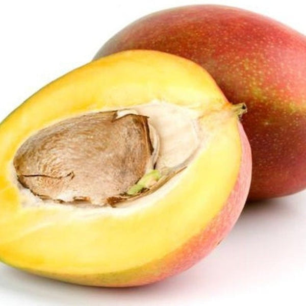 Mango Seed Extract Powder