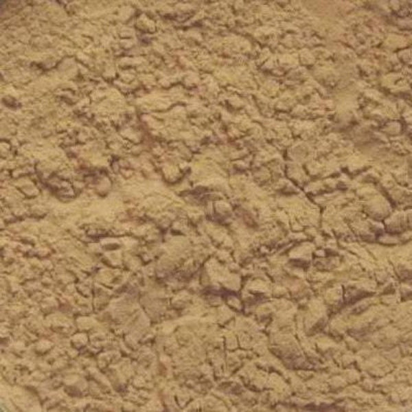 Mango Seed Extract Powder