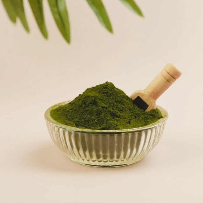 Chlorella Powder - Organic