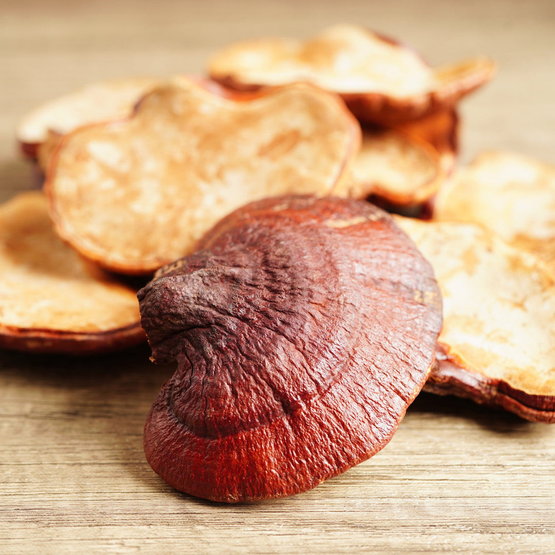 Organic Reishi Mushroom Extract powder, high in 50% polysaccharides, ideal for skincare formulations.