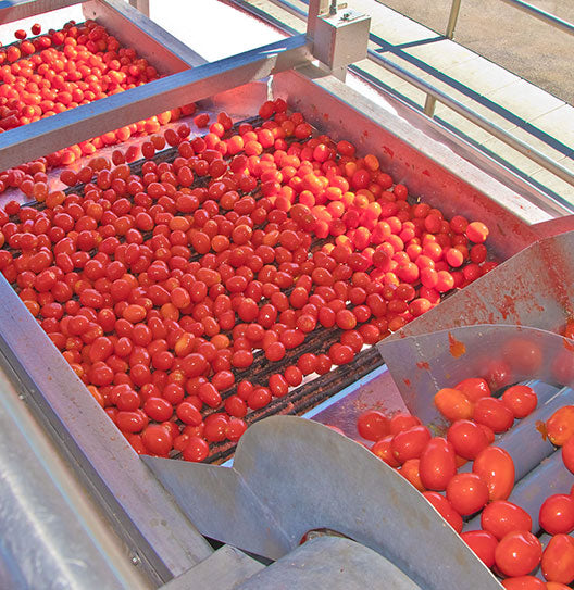 Heray Spice - Sun-Dried Tomato Powder 2.2 Oz (60 grams)