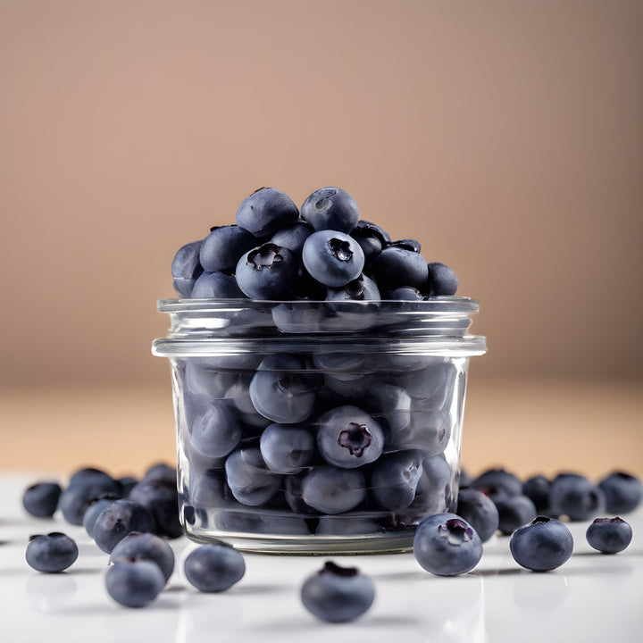 Blueberry Botanical Extract Powder
