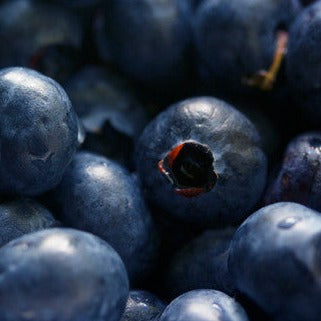Bilberry Liquid Botanical Extract • Antioxidant